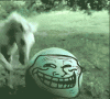 Fun with a ball