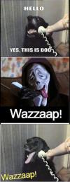 Wazaaaaap! !!!
