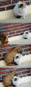 Just sweet:)