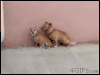 Smooth motherf*cker