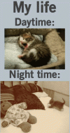 Nighttime
