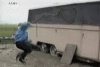 Mad chicken