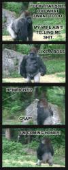 Like a boss