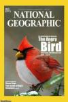 The angry bird