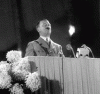Bitchi hitler
