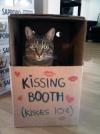 The kissing booth