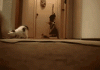Scary vacuum cleaner