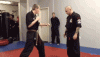 Gangnam fighting style