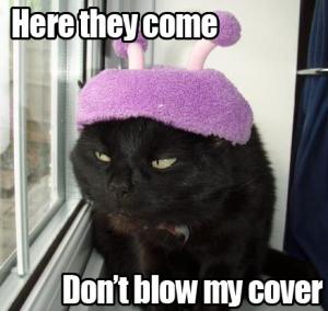 Don't blow his cover
