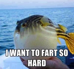 Fart hard