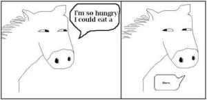 HORSE!