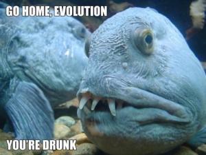 Go home evolution