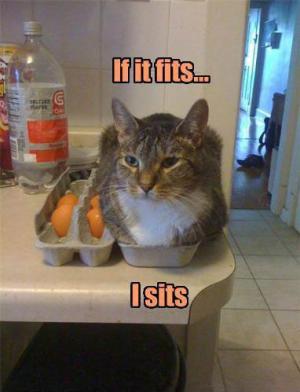 It it fits...