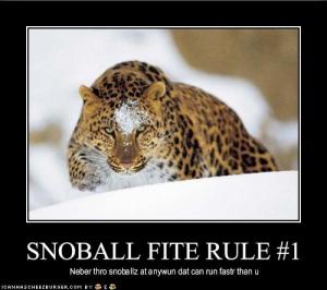 Snowball fite