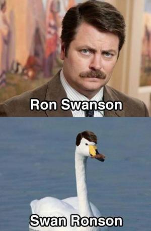 Swan Ronson