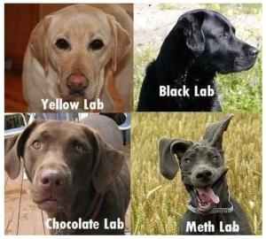 Meth lab