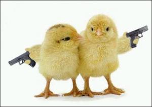 Chicks with guns
