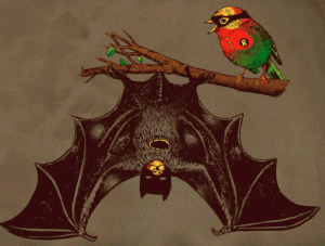 Bat & Robin
