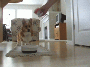 Yay... Food