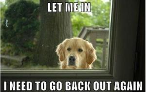 Let me in...and out