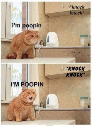 Poopin'