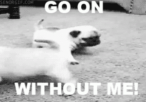 Go on...