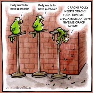 Polly needs crack
