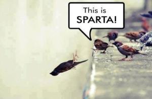 THIS IS SPARTAAAAAA