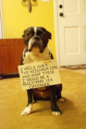 Sex offender