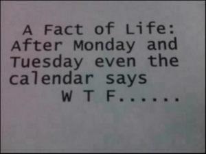 Monday, Tuesday, WTF