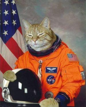 Astrocat