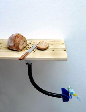 Smart bird feeding