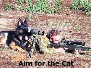 Aim for the cat;)