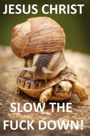 Slow down