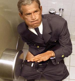 Bush