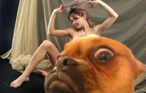 Dog watches you