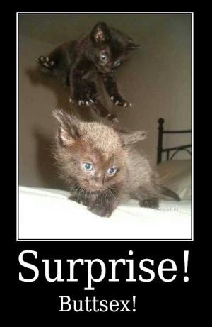 Surprise! Buttsex!