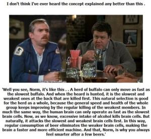 After few beers...