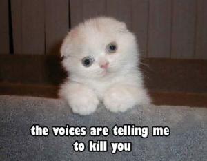 Voices