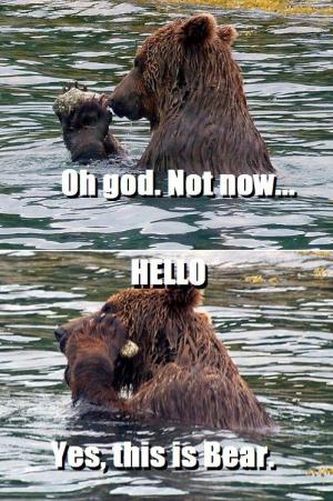 This is bear speaking