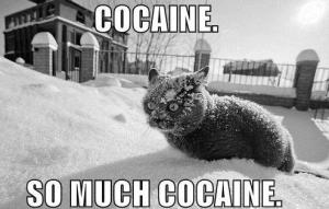 So much cocaine