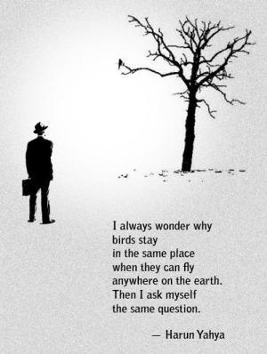 Fly away