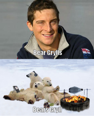 Bears gryll