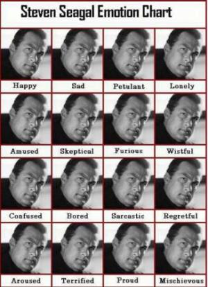 Steven Seagal emotion chart