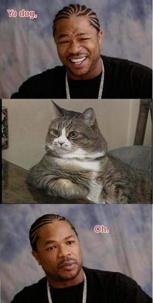 Yo dawg #35435435