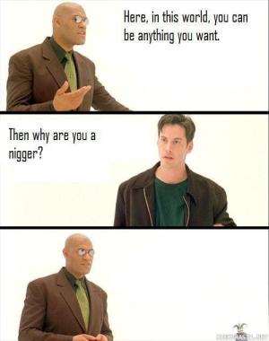 Matrix