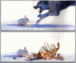 Wolf vs. Bunny