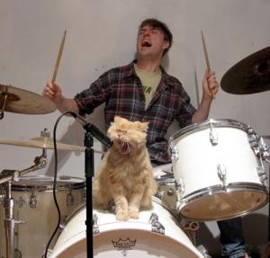 Cat the leadsinger