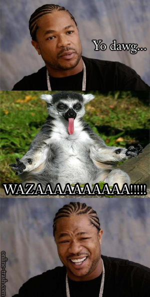 Yo dawg