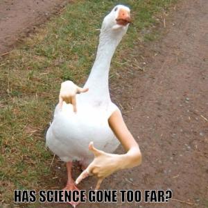 Science